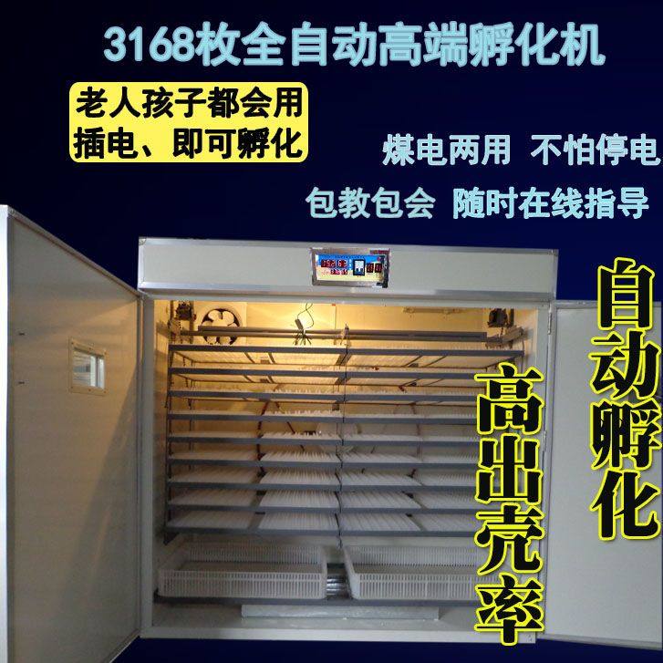 大型孵蛋箱孵化机家用全自动孵化器小型孵化箱孵化设备孵蛋器孚抱,宠物/宠物食品及用品,鸟类孵化器/繁殖箱,淘宝优惠券,粉丝福利购,淘宝优惠卷