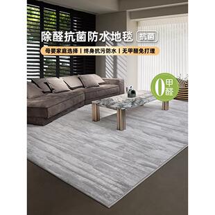 地毯抗菌防水除甲醛家居客厅地毯土耳其进口加厚防污卧室地毯定制