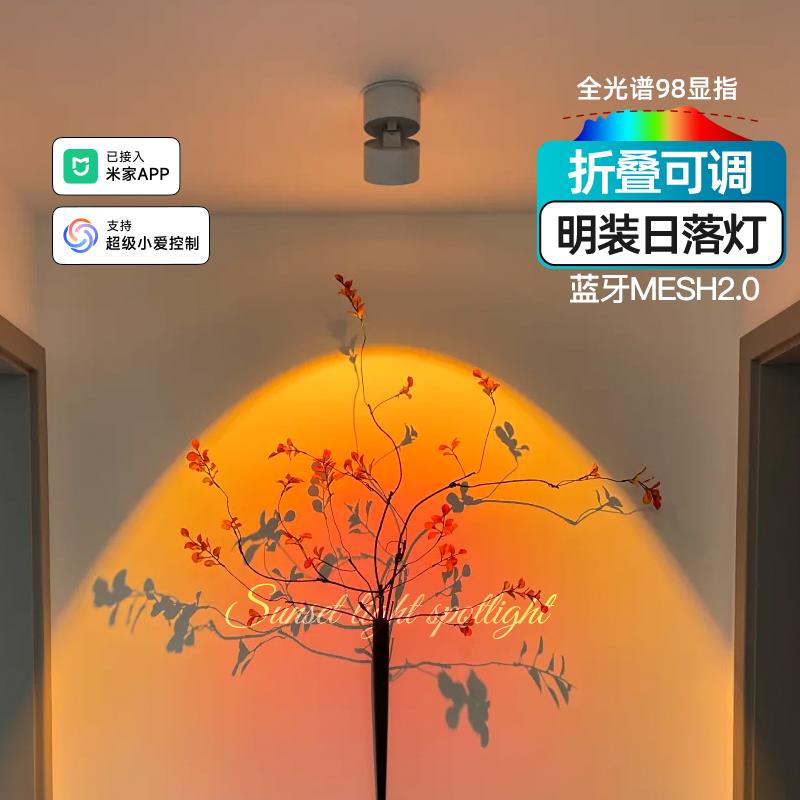 明装日不落射灯玄关过道走廊洗墙夕阳红氛围网红智能可调日落灯