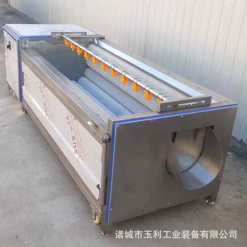 毛辊清洗机海蛎子清洗去泥机土豆根茎类果蔬去皮清洗机