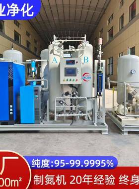 制氮机设备PSA高纯度工业氮气发生器小型氮气机厂家直供