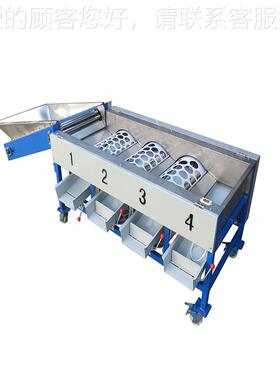 URR脐分级机分柑桔橙分 选机 小青桔级机