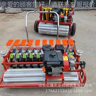 双香菜菠菜播1种机 2yl-bzj黄芪桔梗精播机 板蓝行根白排芷点播机