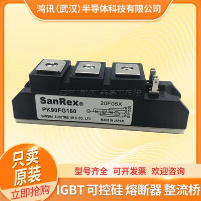 三社可控硅模块PK40F160 PK55FG160 PK110F-160 PK200HB160晶闸管