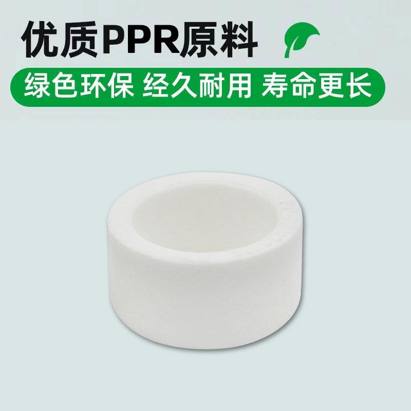 PPR热熔堵帽堵头DN20/25/32/40/63/75ppr管堵4分6分家用水管配件