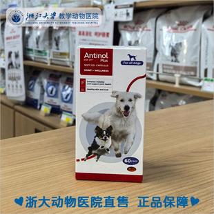 纽西兰进口安它诺Antinol安替诺软骨素宠物鱼油猫狗关节277安适W