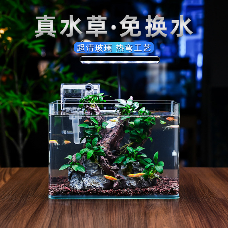 热弯玻璃鱼缸客厅小型水族箱桌面免换水金鱼斗鱼生态迷你鱼缸裸缸