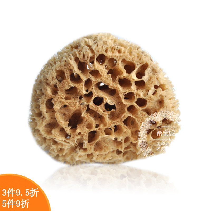 希腊地中海纯天然海藻棉中小号蜂窝海绵 硅藻泥艺术漆 非洗脸洗澡