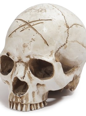 个性搞怪无下巴尖牙骷髅头 万圣节时尚主题装饰小摆件 树脂工艺品