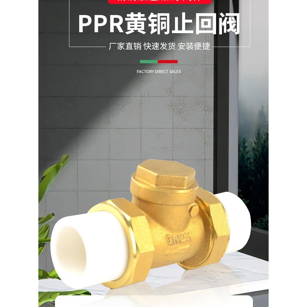 4/6分热熔止回阀黄铜卧立式逆止20/25PPR双活接自来水管表单向阀