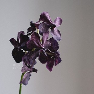 手感花艺高级感客厅摆设婚庆插花装 蝴蝶兰仿真花轻奢高端保湿 饰