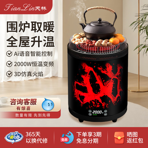 天林取暖器家用冬天围炉室内烤火炉石墨烯电暖器节能火焰取暖炉