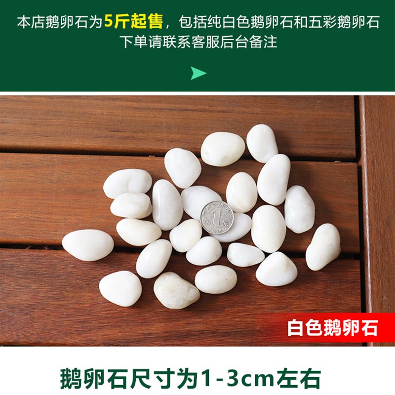 白色鹅卵石铺路铺地庭院园林造景天然大小石头雨花石小白石子