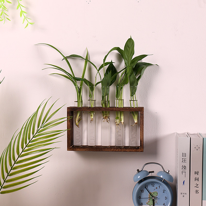 墙壁装饰壁挂玻璃试管花瓶水培绿萝植物插花壁饰家居悬挂墙上
