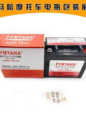 山叶新福禧巧格i赛鹰125丽凌鹰100机车电瓶电池MTX5L-BS
