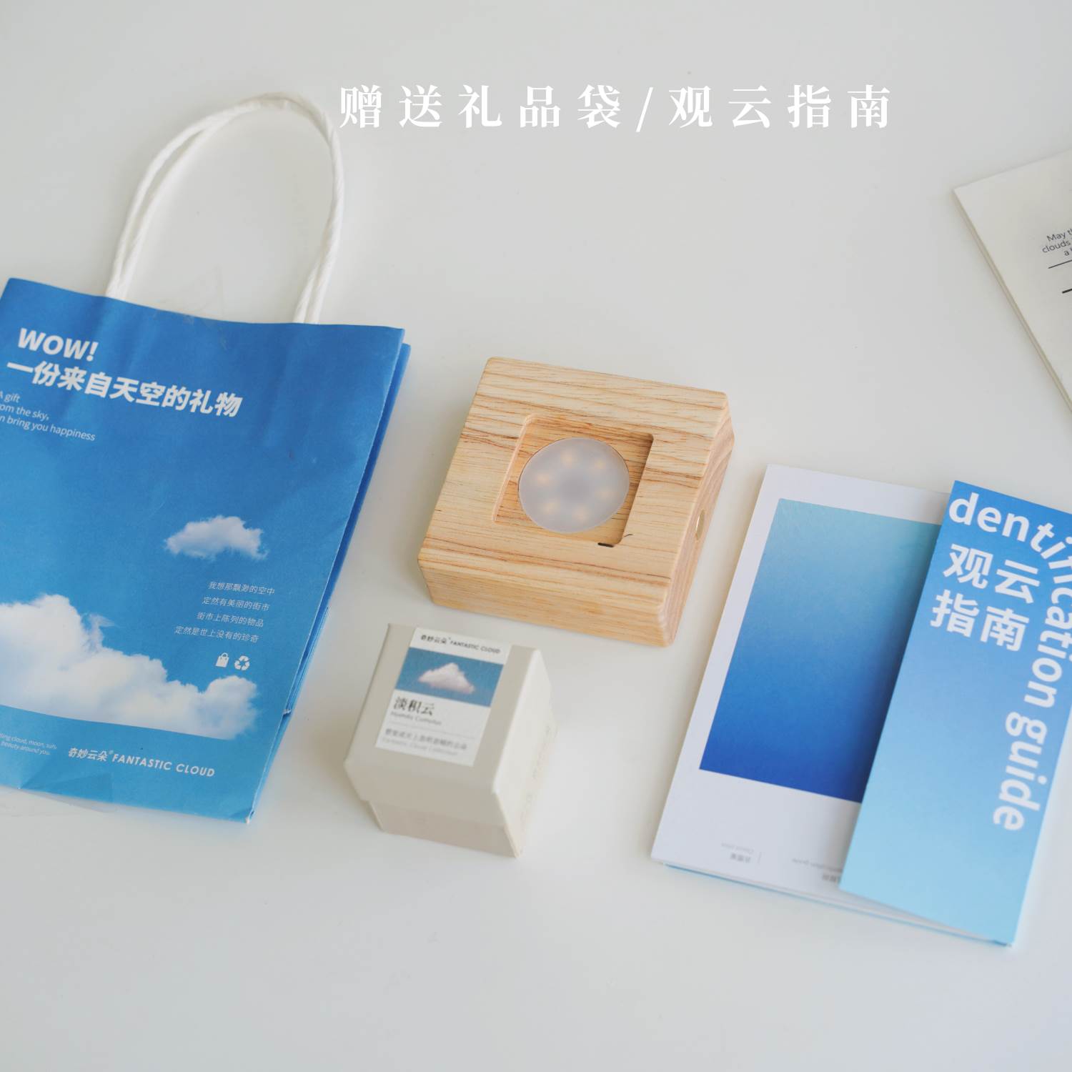 领养一朵云全新云朵创意摆件小众高级ins风生日七夕礼物送女朋友