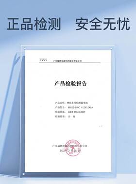 春风原厂 650MT/国宾650TR-G/650TR 摩托车电瓶12V猛狮蓄电池