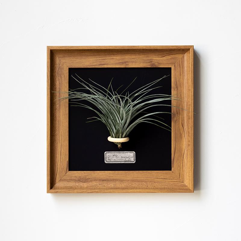 空气凤梨复古高级感相框空框摆台美式做旧正方形画框数字油画定做