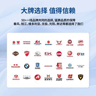 三阳巡弋150/X 巡戈180巡戈300 Z300九妹JOYMAX RV250 RV180 电瓶