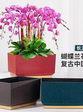 比利孚园艺中式蝴蝶兰花盆文心兰古典红色塑料树脂复古专用盆