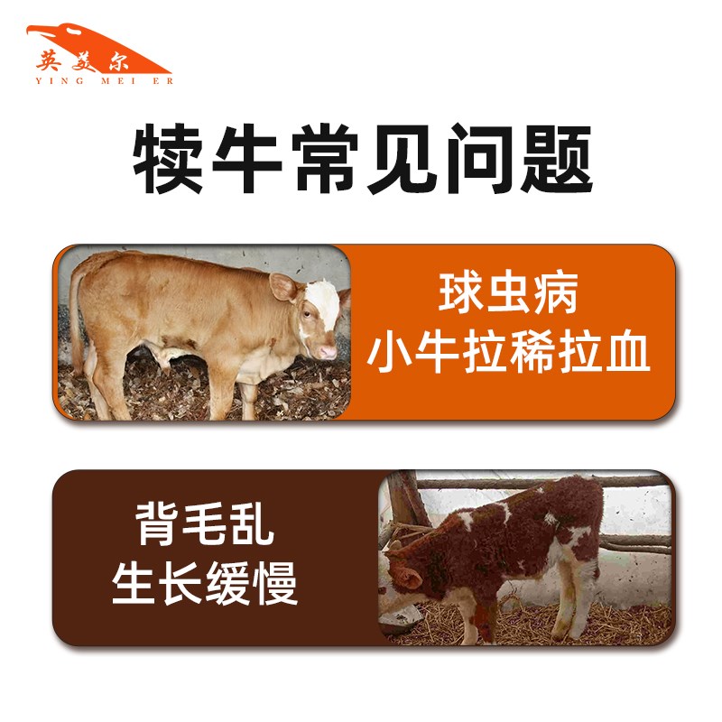 6%预混料专拍