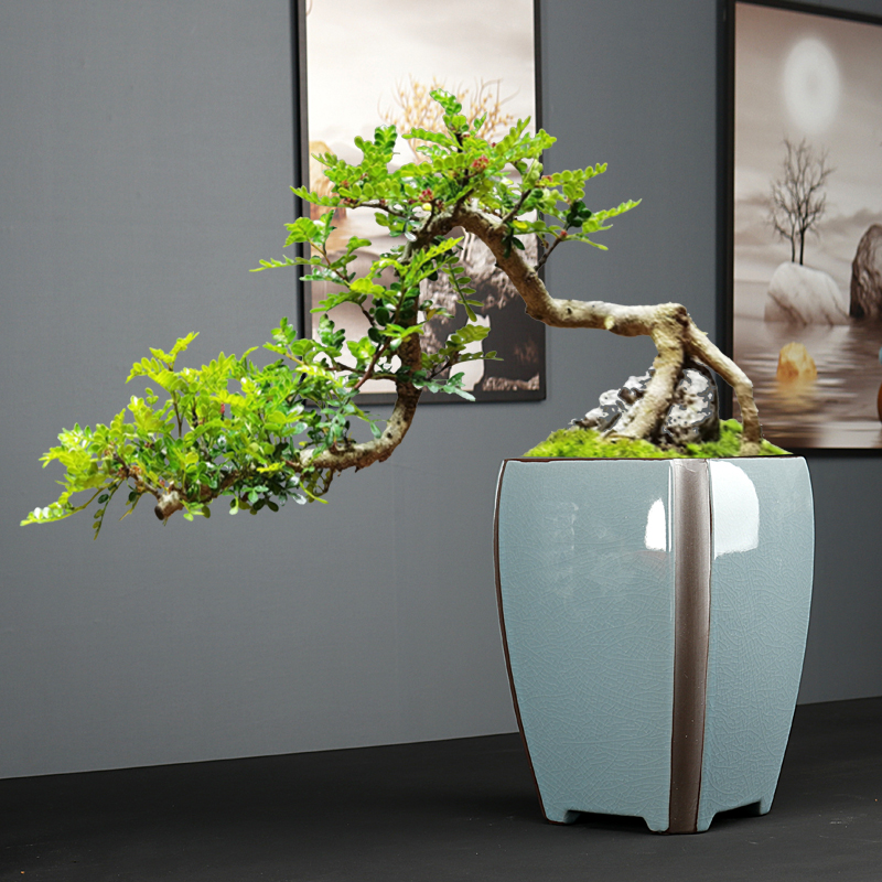 中式特大号兰花花盆哥窑开片陶瓷盆景高款室内绿植造景盆绿植