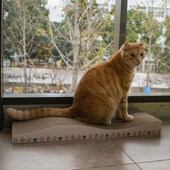 乐优派猫抓板多造型猫咪磨爪器大号瓦楞纸猫爪板耐磨宠物