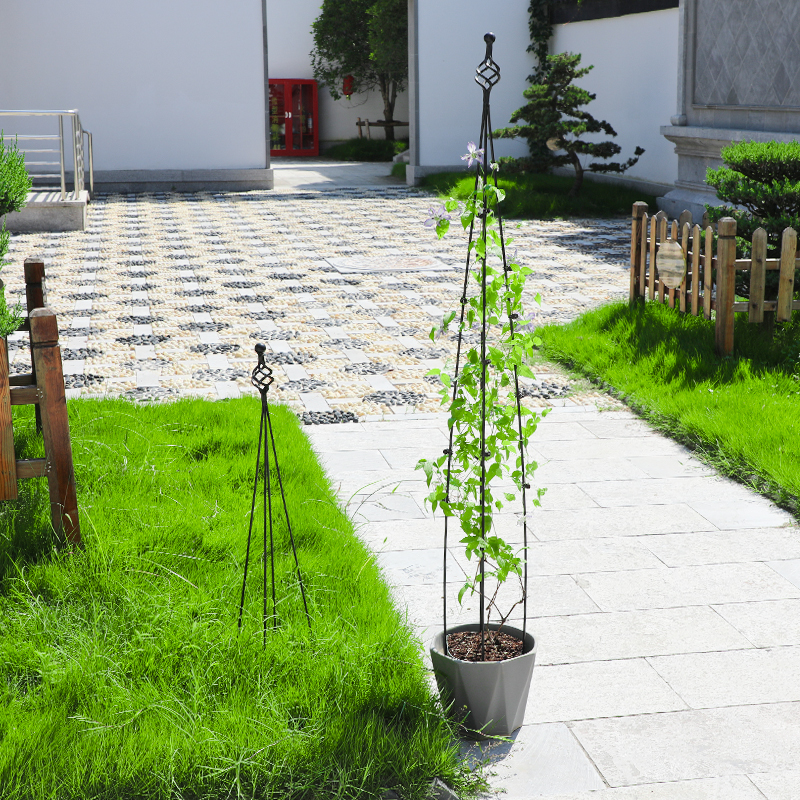 月季蔷薇爬藤架子铁线莲植物支架阳台花卉支撑杆园艺攀爬植物支架