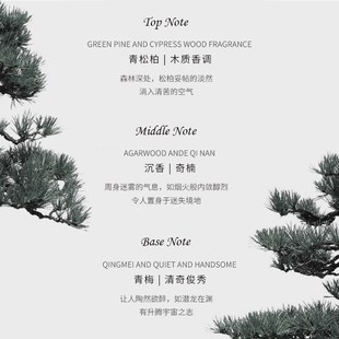 松烟入墨天然松柏盘香沉香熏香室内抄经香办公室品茶文香薰