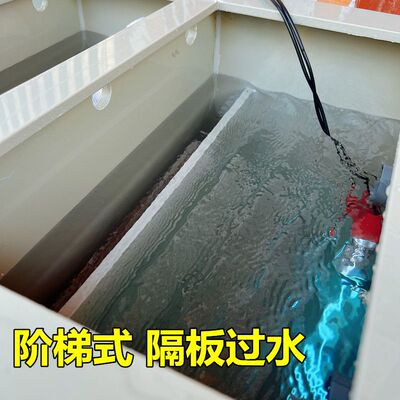 锦鲤鱼池pp塑料过滤槽大