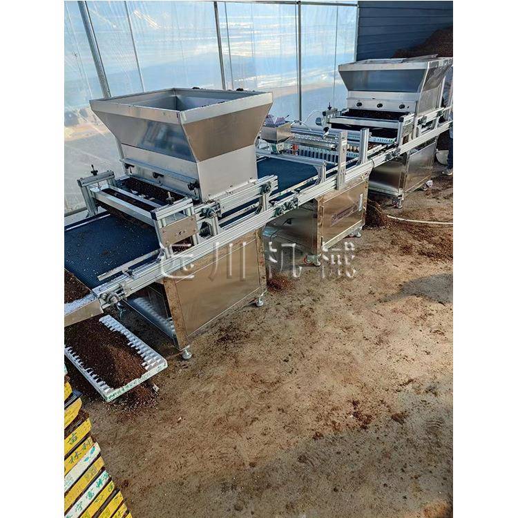 全自动穴盘育苗机电动液压漂盘育苗播种机蔬菜花卉种子种植机