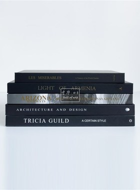 样板房装饰真书黑色现代外文书客厅桌面静物拍照摄影道具