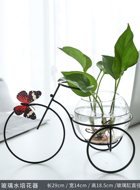 创意月亮摆件家居装饰品酒柜客厅插花G水培花瓶少女心房间客厅摆