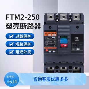 断路器热磁式 型塑料外壳式 塑壳热保护家用电闸 250C 法泰电器FTM2