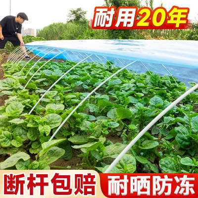 大棚骨架玻璃纤维小拱棚支架搭棚家用蔬菜塑料温室大棚拱杆玻璃钢