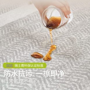 免洗可擦茶几卧室地垫大面积全铺 长促客厅地毯耐脏易打理2025新款