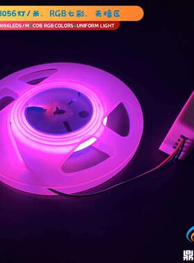 DC24VCOBRGB七彩圣诞节轮廓发光字LED霓虹灯条软灯带NeonLight