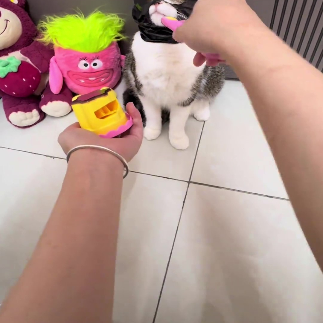 布丁喂食玩具套装儿童礼物草莓果冻投喂玩具过家家女孩日本小咪露