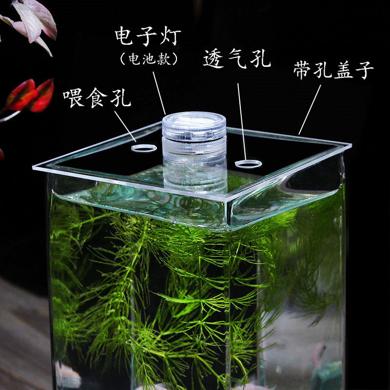 奇艺家居方形加厚超白玻璃鱼缸桌面装饰花瓶斗鱼缸带盖子水培花器