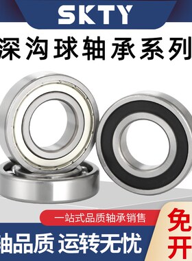 SKTY哈尔滨轴承大全61818/61819/61820/61821/61822/61824ZZ/2RZ