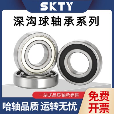 SKTY哈尔滨轴承大全61818/61819/61820/61821/61822/61824ZZ/2RZ