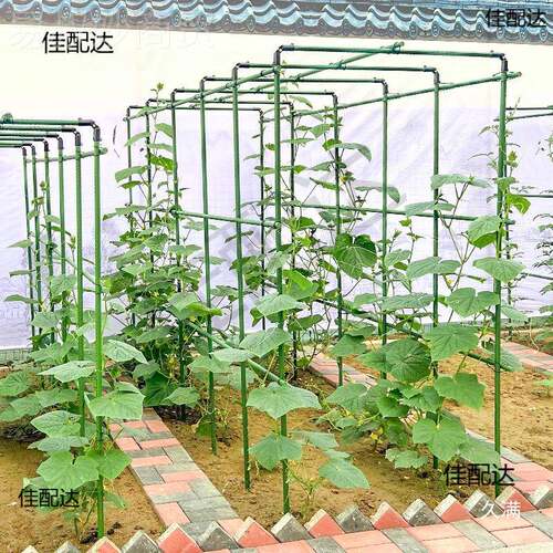 爬黄藤架葡萄瓜豆角架种菜支花支架ADL庭院园艺花卉植物西撑杆红