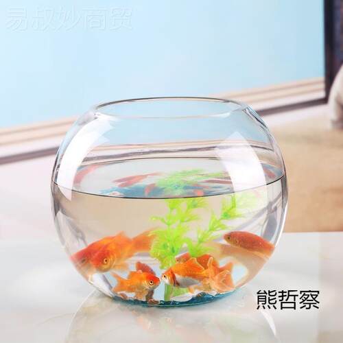 创意圆形玻璃缸透明熊哲察大鱼桌号面厚加乌龟缸金鱼缸水培客厅风