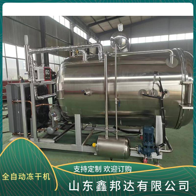 真空冻干机桑葚冷冻干燥机银耳羹低温冷冻机水果冻干设备