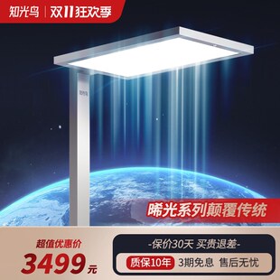 护眼灯儿童学习阅读台灯学生全光谱钢琴灯 知光鸟大路灯落地灯立式