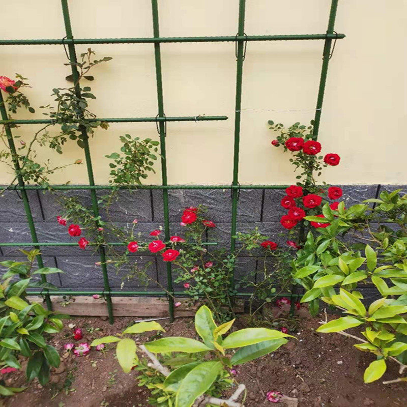 户外百香果架子庭院爬藤架家用黄瓜牵引植物支撑杆番茄火龙果支架,鲜花速递/花卉仿真/绿植园艺,其它园艺用品,淘宝优惠券,粉丝福利购,淘宝优惠卷