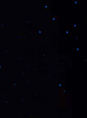 宿舍装饰贴纸墙贴墙上荧光寝室卧室墙面房顶天花板星星夜光月亮