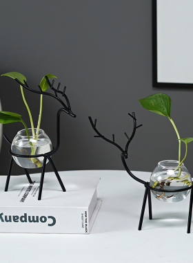 北欧桌面水培花盆摆件办公桌客厅多肉绿萝水养植物花瓶装饰摆设