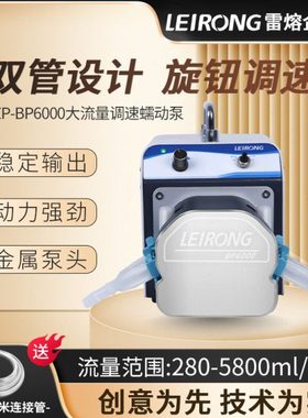 雷熔实验室微型灌装抽水可调速双通道蠕动泵6000ml/min自吸循环泵