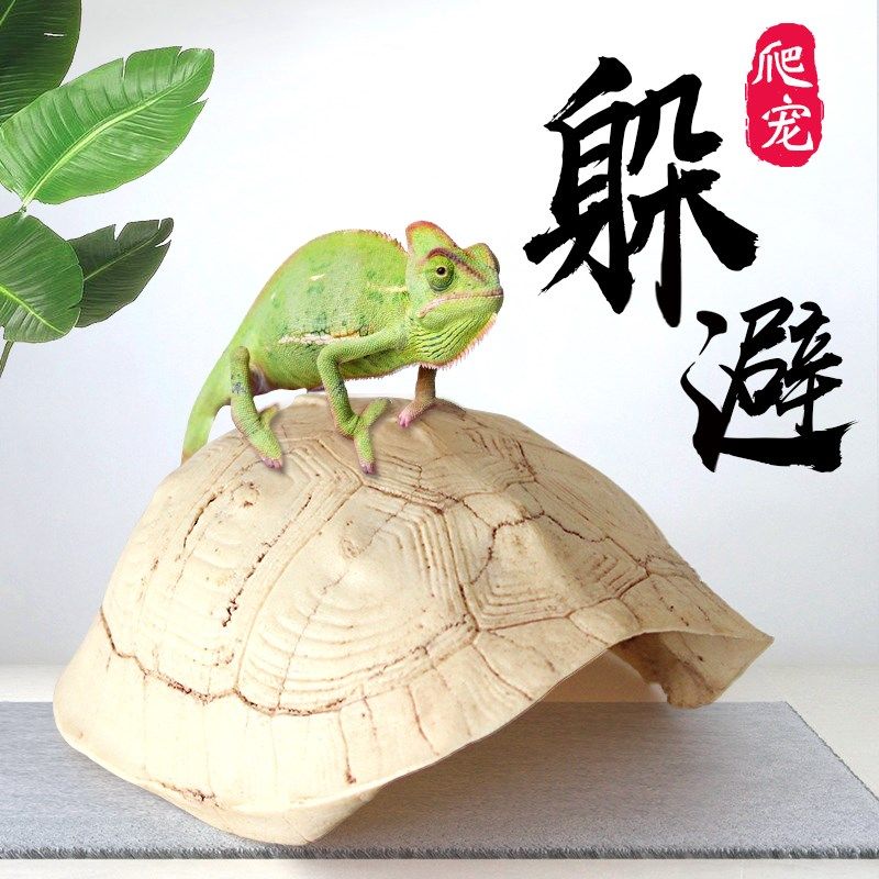 乌龟晒台仿真龟壳爬台树脂蜘蛛蜈蚣蛇甲虫守宫爬坡躲避屋鱼缸造景,宠物/宠物食品及用品,爬宠躲避/造景,淘宝优惠券,粉丝福利购,淘宝优惠卷